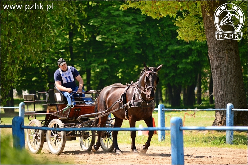 Klacz DALMACJA-PH śl.