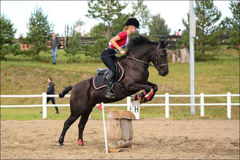 Klacz JEDLINA HROBY hc