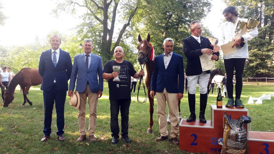 MPMK 2019 w sportowych rajdach konnych - dekoracja