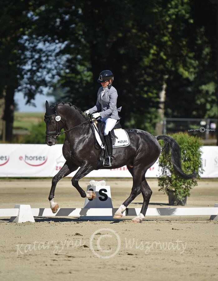 Biały Kruk sp (Lenon westf. x Lord Aleksander) - Karolina Mazurek