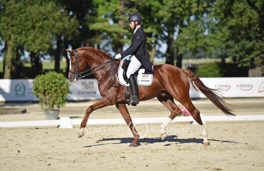 Heiline's Zanzier DWB (BH Zack x De Niro) - Mateusz Cichoń