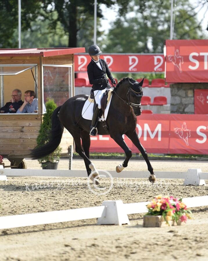 Romeo van Fuerstenball sp (Fuerstenball x Bretton Woods KWPN) - Aleksandra Szulc