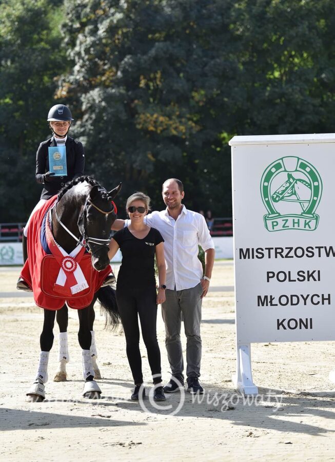 Romeo van Fuerstenball sp (Fuerstenball x Bretton Woods KWPN) - Aleksandra Szulc