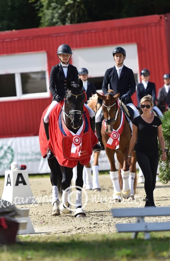 Romeo van Fuerstenball sp (Fuerstenball x Bretton Woods KWPN) - Aleksandra Szulc