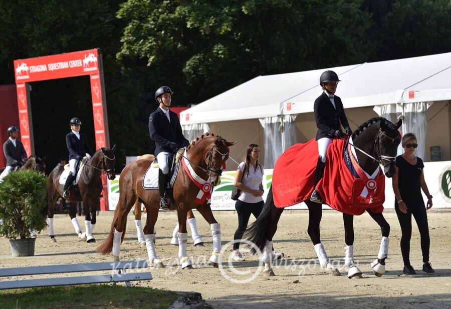 Romeo van Fuerstenball sp (Fuerstenball x Bretton Woods KWPN) - Aleksandra Szulc