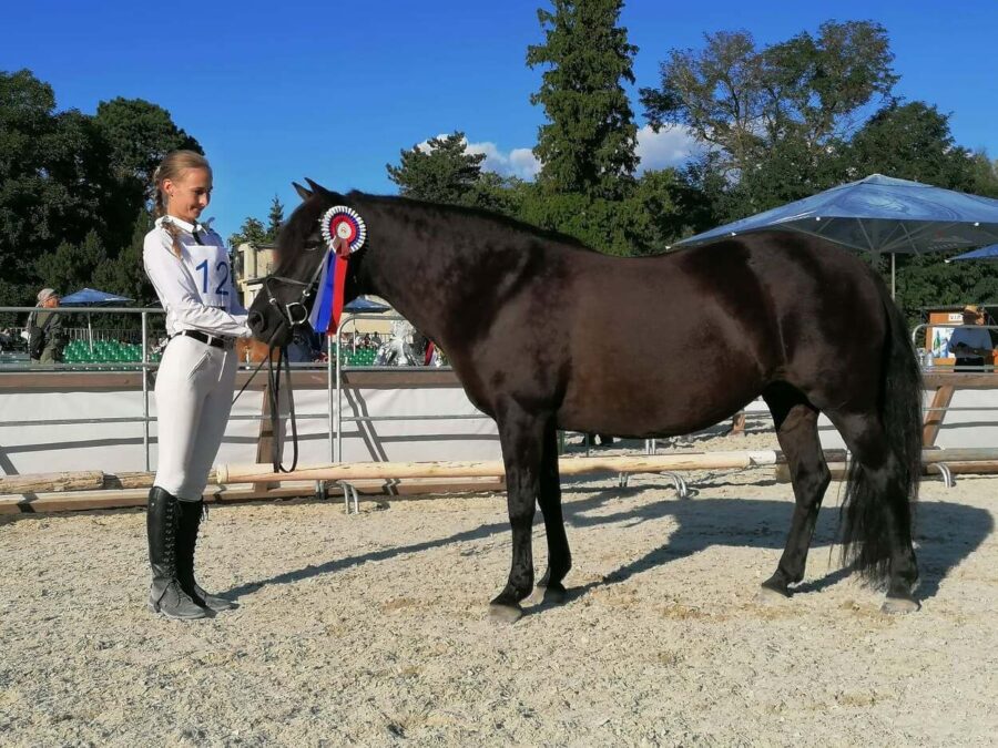 Szarlotki z Izb (Pietrosu) (Saturn (Pietrosu) - Sonia z Izb (Hroby) / Okoń (Hroby))