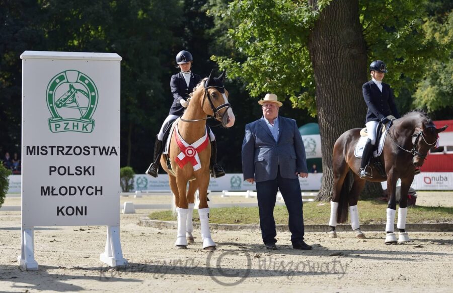 Zeus sp (Delorean 2 han. x Limal sp) - Karolina Mazurek