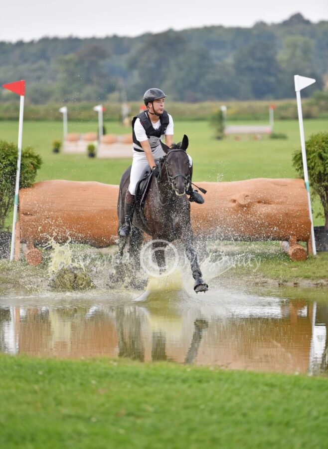 Negra Connora AZ sp (Connor hol. x Lord Hippo xx) - Tomasz Pastwa