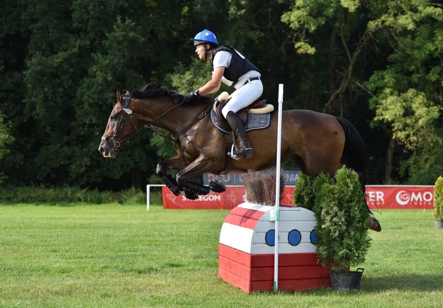 Whisky sp (Carter x Hemmingway KWPN) - Łukasz Sikorski