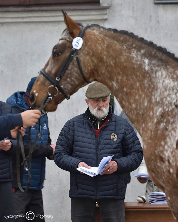 Parys sp, 2018 (W-Samba Boy sp x Lord Alexander old.)