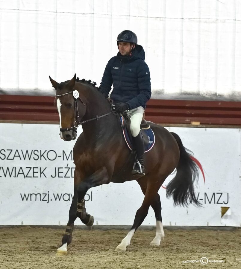 Corassone hol., 2018 (Cascadello I hol. x Diarado hol.)