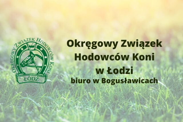 OZHK Łódź ogłasza nabór na stanowisko Dyrektora Biura