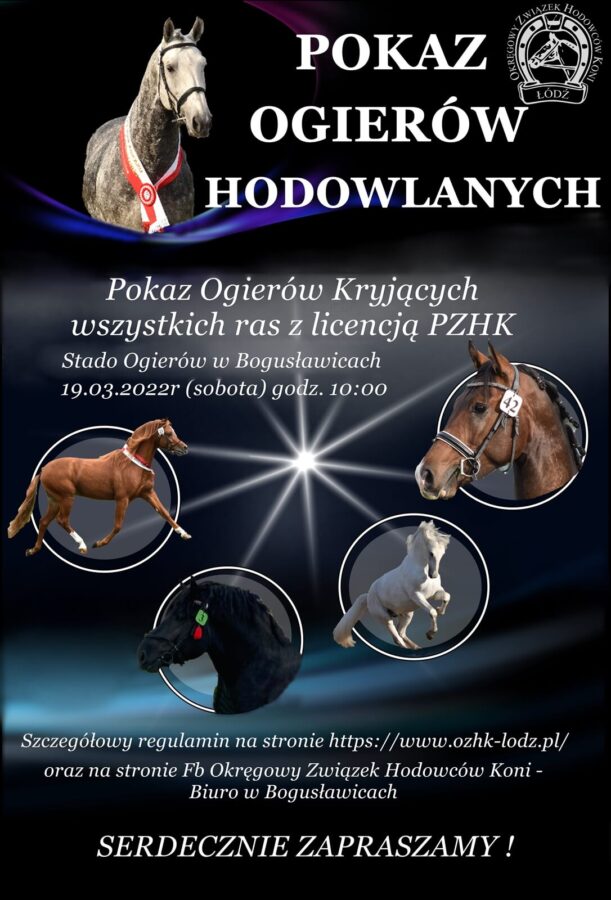 Pokaz ogierów hodowlanych, 19.03.2022 - Bogusławice