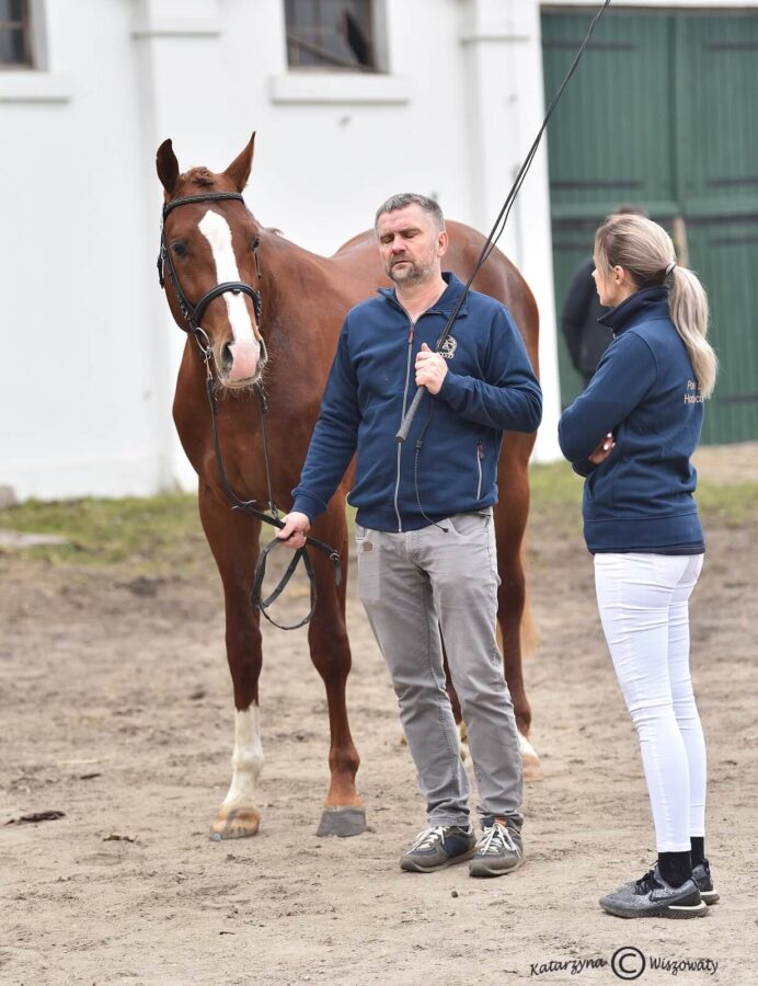 URIKO ROUGE hol. (URIKO KWPN x TALENT CHARBONIERE s.f.), Katarzyna Bartosiewicz, Anna Farysej