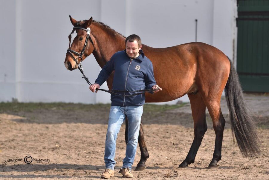 NEVERLAND S sp (DALLAS VDL BWP x LEOVILLE s.f.), Hubert Szurik, Agnieszka Przybylska