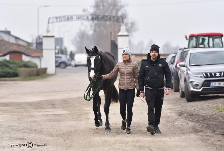 BIGGIE STAR hol. (BIG STAR KWPN x CORMINT hol.), Daniel Winnicki, Paulina Szałek