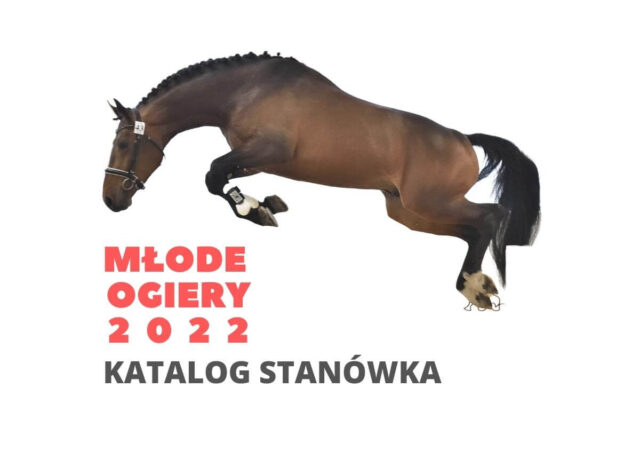 Katalog „Stanówka 2022 – Młode ogiery”!