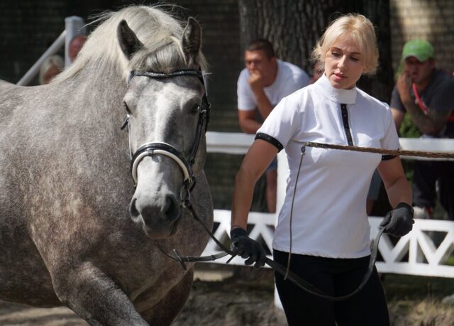 Czempionat w Kętrzynie