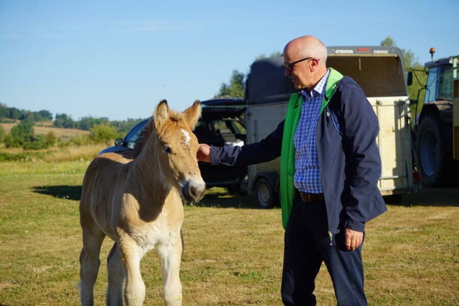 Andrzej Stasiowski i źrebię ardeńskie