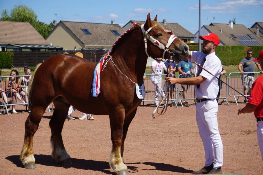 Rupus RS (Polo du Chateau de Saive – Rubilla / Rutger)