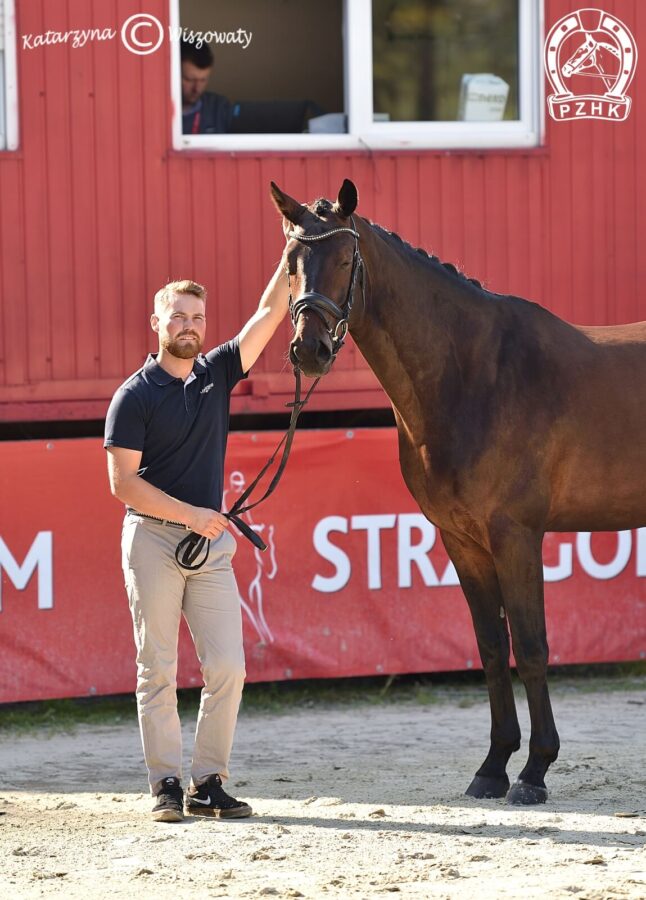 Neogeen KWPN, wał., 2018 (Grand Galaxy Win x Flamingh), Adrian Seliga