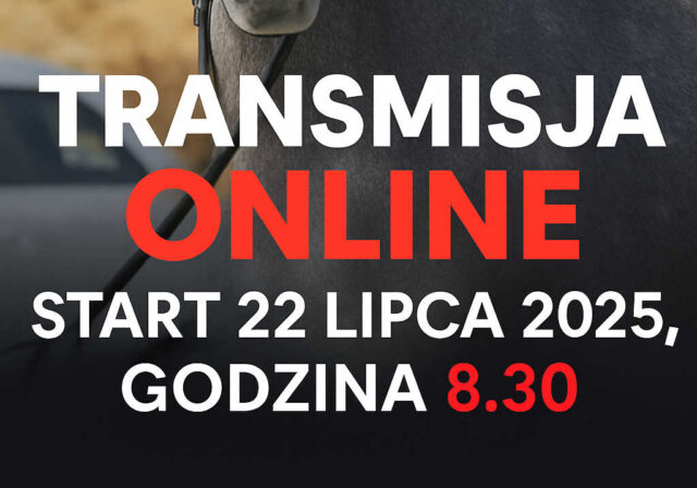 Zapraszamy na transmisję online z drugiego dnia kwalifikacji ogierów rasy śląskiej