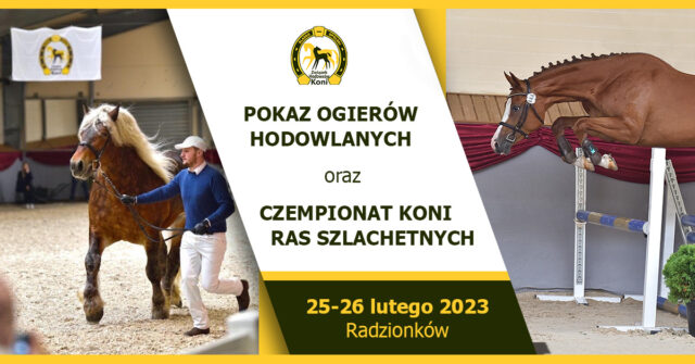 Pokaz Ogierów Hodowlanych i Śląsko-Opolski Czempionat Koni Szlachetnych 2023