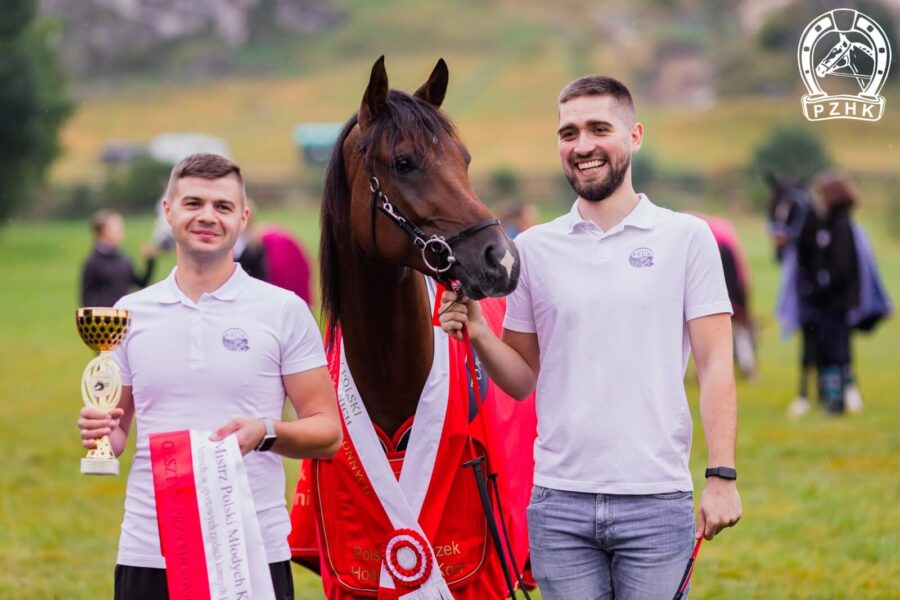 Mistrz Polski Młodych koni 5 letnich, wałach WIRAŻ Z GÓR oo, wys. 152 cm., gn., po Czort z Gór, od Wilea/ Ontario HF, hodowli, własności i dosiadany przez Piotra Mądela, Fundacja Interregio