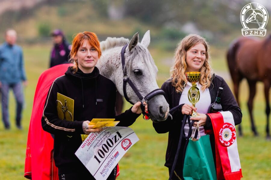 Mistrz Polski koni 4 letnich, wałach MUFAS oo, siwy, wys. 150 cm., po Elgast, od Monerah Al. Shaqab/ Wadee Al Shaqab, hod. Paweł Redestowicz, wł. Anna Sawicka, zawodnik Milena Kamoda, KJ Nowa Ruda