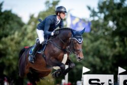 Diego sp, gn., ur. 2017 (Grandorado TN - D E. Feu D'Hiver (NLD) / Diamant de Semilly), hod. SK Nad Wigrami GR, wł. Przemysław Sumczyński, Lanaken 2023