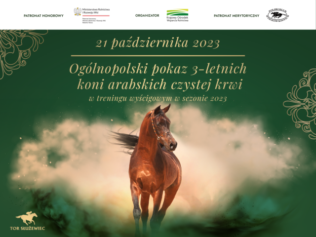 Ogólnopolski pokaz 3-letnich koni arabskich czystej krwi w treningu wyścigowym w sezonie 2023