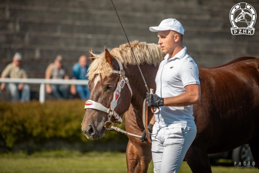 TABES Z (Bär - Tyrania / Marino)