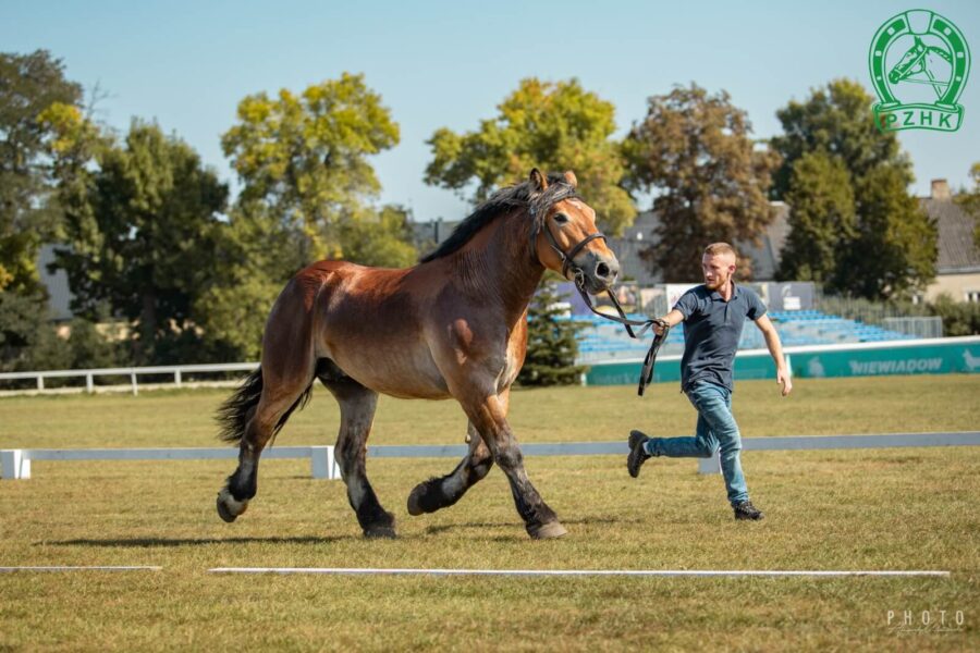 NEKS (Duc des Jardins - Neksa / Pralin)