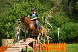 Klacze huculskie bez próby dzielności