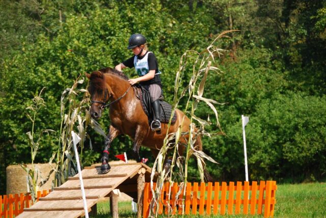 Klacze huculskie bez próby dzielności