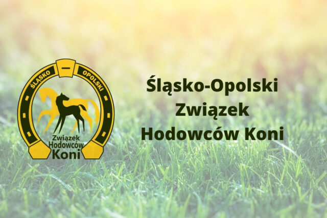 Śląsko-Opolski Czempionat Użytkowy Koni Rasy Małopolskiej i innych Ras Szlachetnych, Prudnik, 26 kwietnia 2025 r.