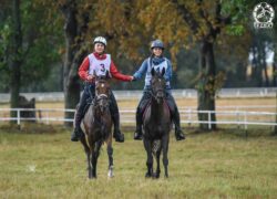 SABAMIRA oo i CALIFORNIA DREAM oo