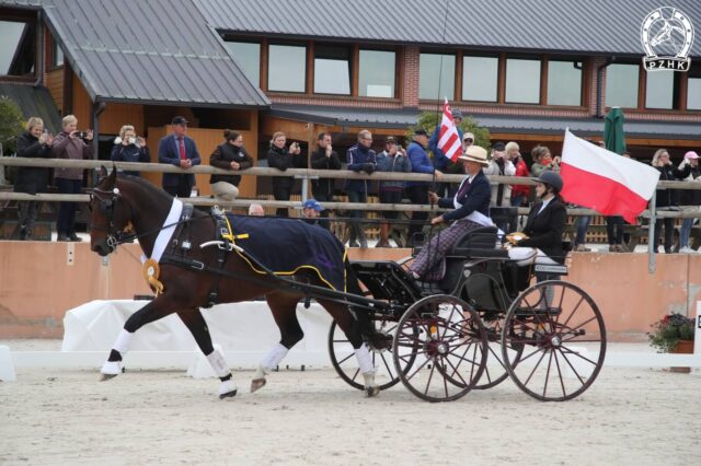 ELEKTRODA i Weronika Kwiatek