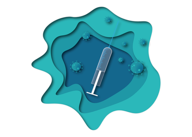 FEI ostrzega i informuje o wystąpieniu herpeswirusa typu 1 (EHV-1) u koni we Francji