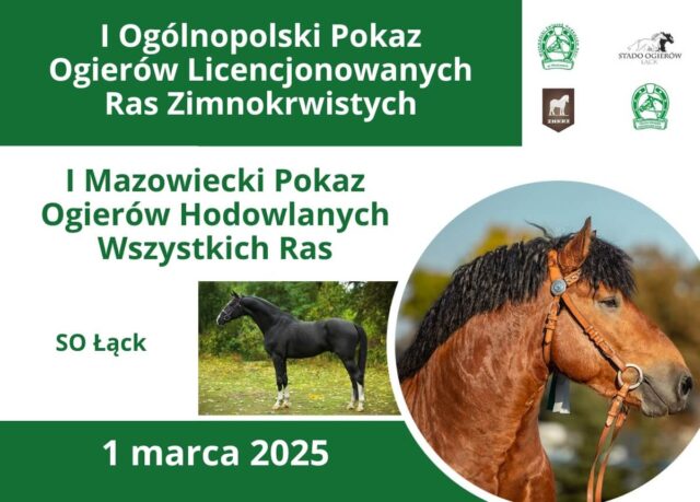 Wiosenne pokazy ogierów w SO Łąck