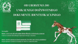 Od urodzenia do unikalnego dożywotniego dokumentu identyfikacyjnego