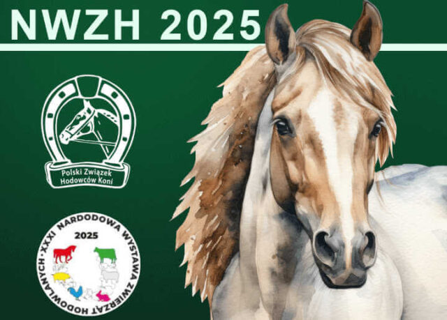 NWZH 2025 – zgłoszenia koni