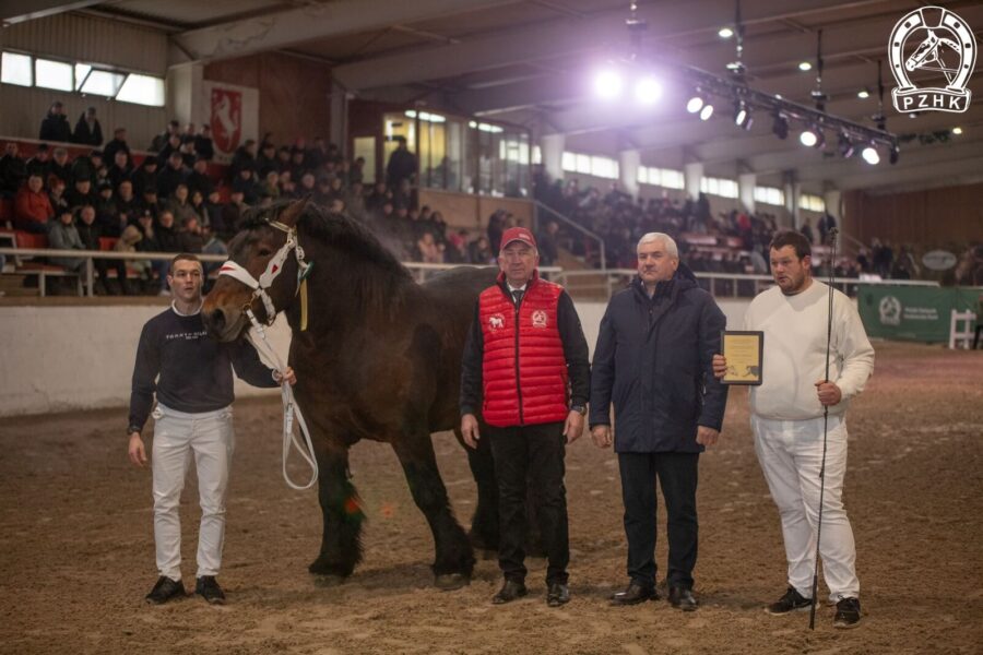 2. EURO ard.pol. (QUARINO ard.pol. - EUROPE z.belg. / VAINQUEUR DE BEAUMONT ard.fr.)
