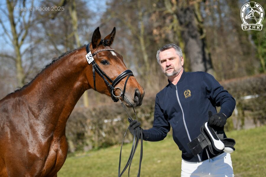 BRANTZ DE LA BRYERE (EX BRANTZ DE LA BRYERE-PJ) (Brantzau VDL (Ex Brantzau) s.f. - Waikiki VI hol. / Calato hol.), ur. 2022, hod. Paweł Jarosz, wł. Antoni Wróbel