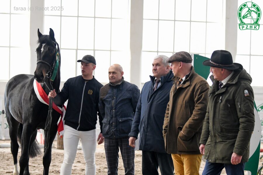 LORD UNO-MK sp (Zigolo G sp - Lira wlkp / Harwest KWPN), ur. 2022, hod. Kazimierz Mikołajczak, wł. Mieczysław Łysikowski