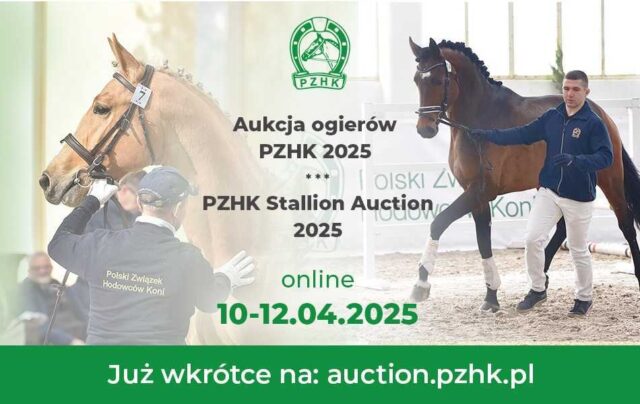 Aukcja ogierów PZHK 2025 (online)