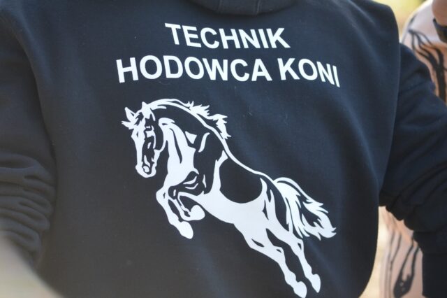 Jak zdobyć kwalifikacje technika hodowcy koni?