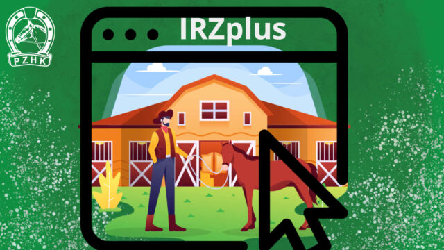 Zgłoszenia zdarzeń dotyczących koniowatych przez właścicieli