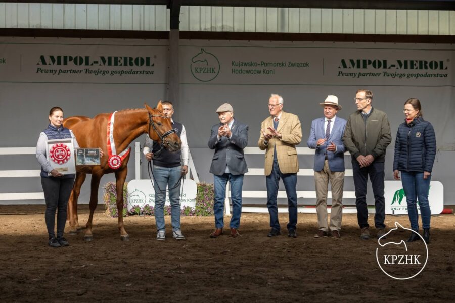 Avaldossa sp (Vivaldos x Millennium) 2022