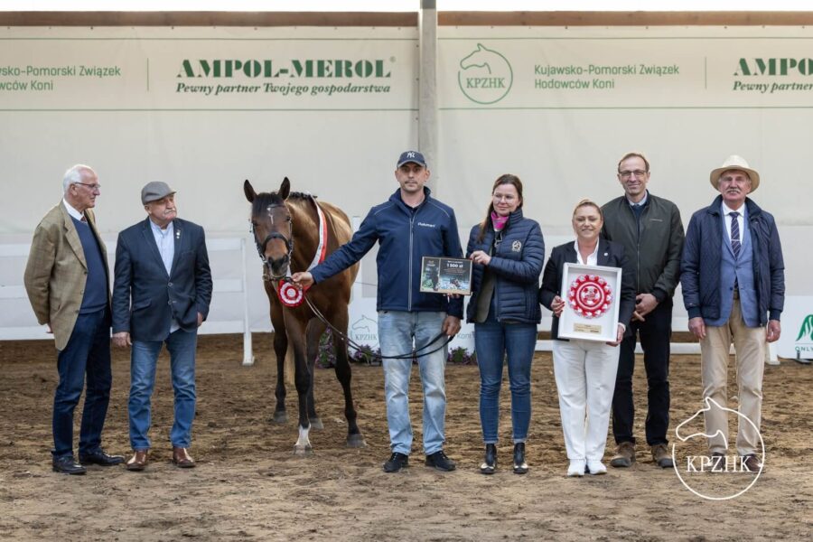 Daira L sp (Eldorado x Chupamint) 2022